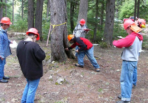 VIU Trades Fundamentals of Forest Harvesting Practices