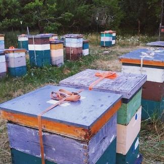 Everett Raynor VIU Horticulture