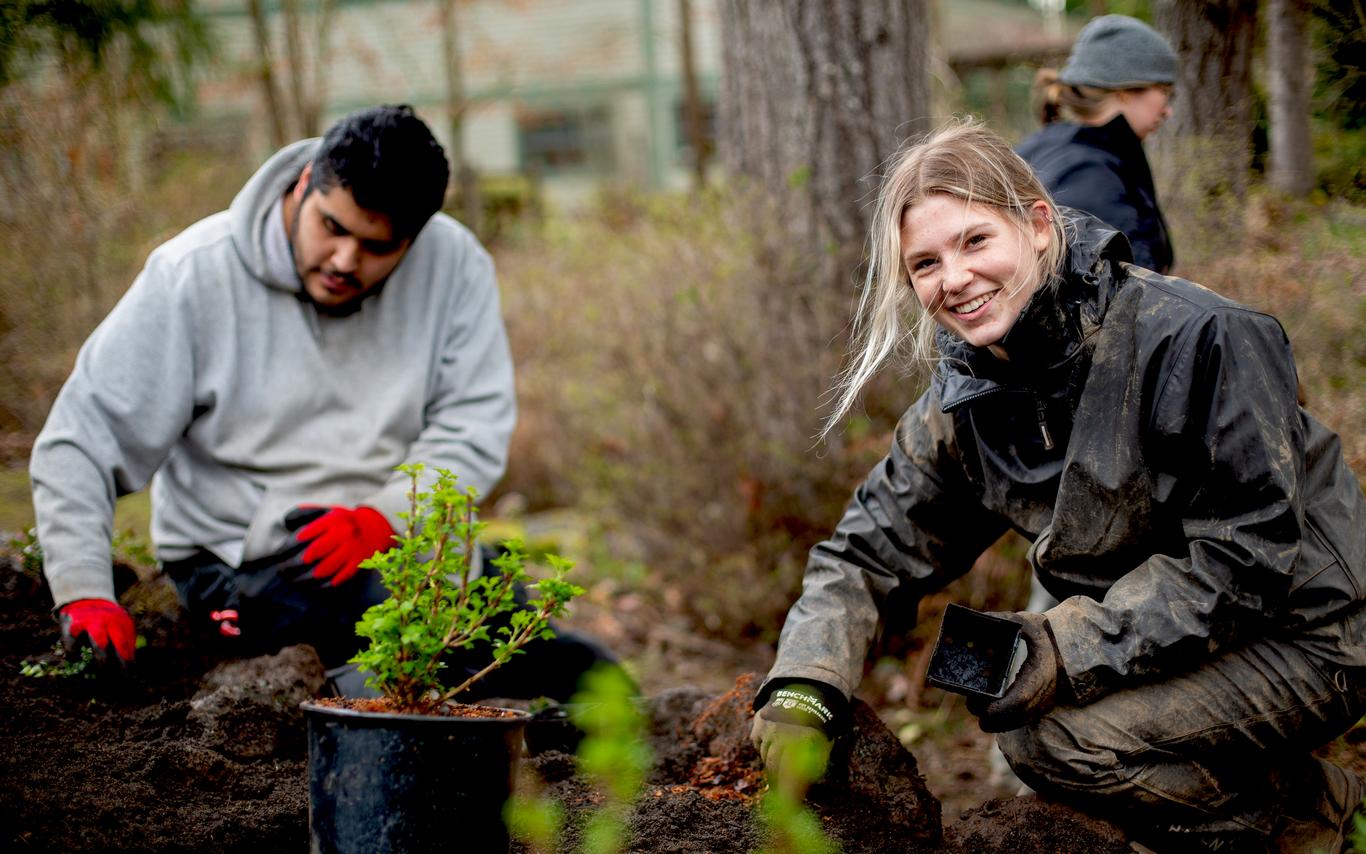 Two young people working in a garden